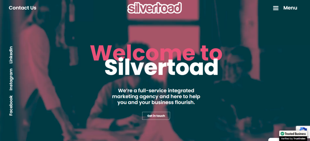 Silvertoad Website