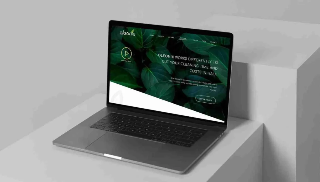 Oleonix, environmentally friendly cleaning solutions, B2B marketing strategy
